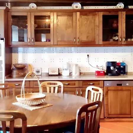 Charming In Seca With Private Pool * Vila Seca (Viseu)