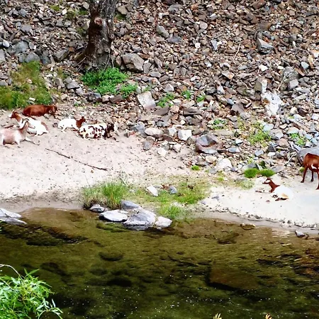 Charming In Seca With Private Pool וילה