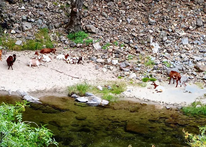 Charming In Seca With Private Pool ヴィラ